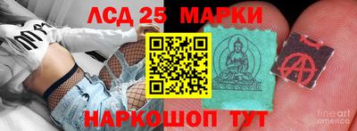 гидропоника Берёзовский