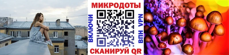 Галлюциногенные грибы Psilocybe  Уфа 