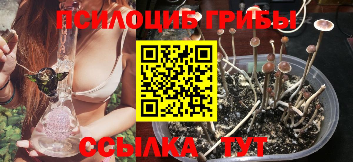 наркошоп  Вход с VPN  Уфа  Псилоцибиновые грибы ЛСД 