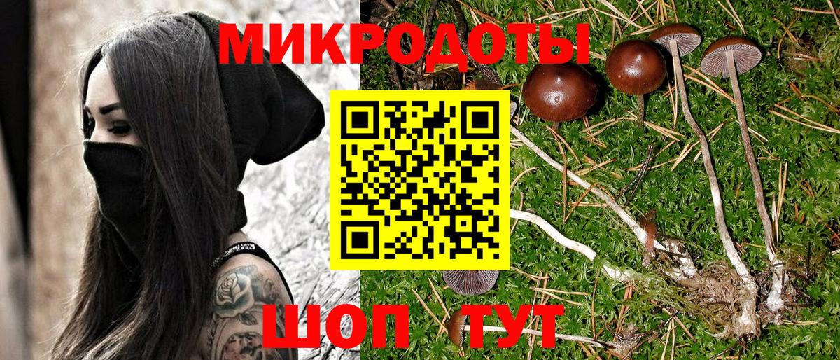 Галлюциногенные грибы Psilocybine cubensis Уфа